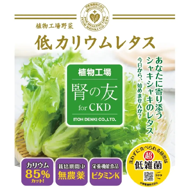 レタス 低カリウムレタス 4個入り カリウム85%カット 洗わず食べられる ビタミンK 植物工場 兵庫県 加西市 リーフレタス 栽培期間中 無農薬