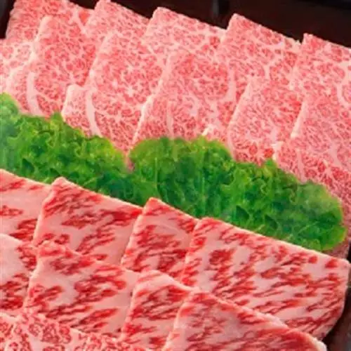 【飛騨牛】肉厚ロースと霜降りカルビの詰め合わせ 焼肉用 計1.6kg 岐阜県産 黒毛和牛【配送不可地域：離島】【1751225】