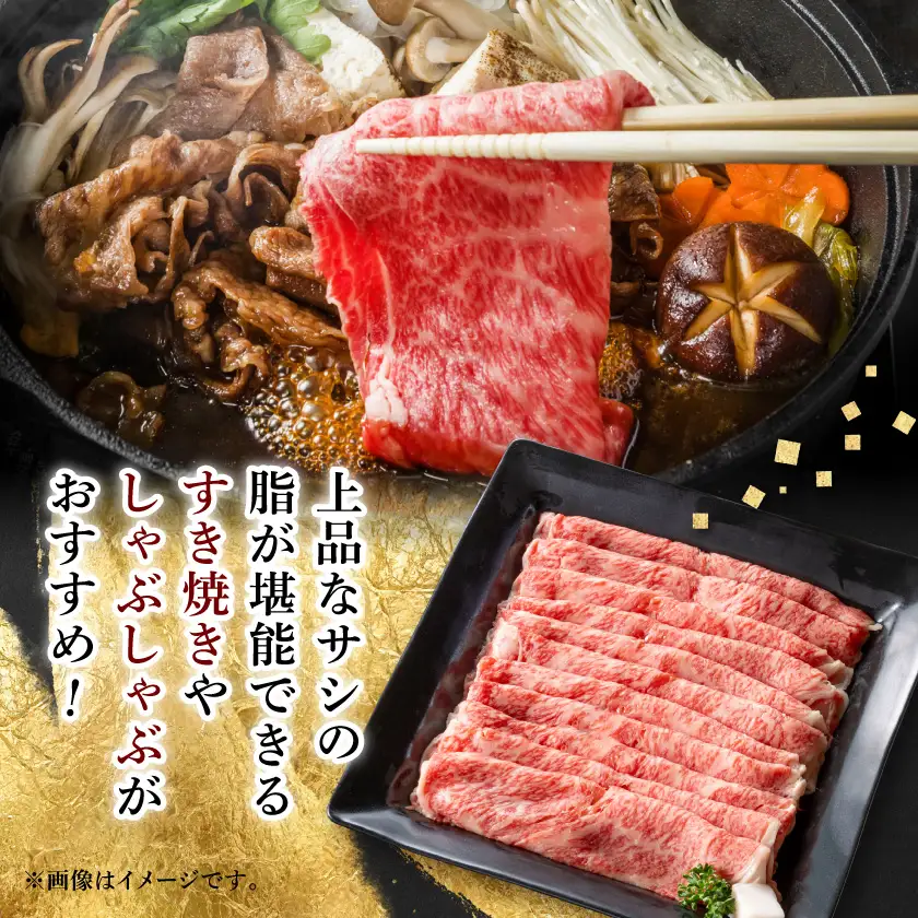 【毎月定期便】【飛騨牛】ローススライス(すき焼き/しゃぶしゃぶ)500g 岐阜県産 黒毛和牛全3回【配送不可地域：離島】【4088368】