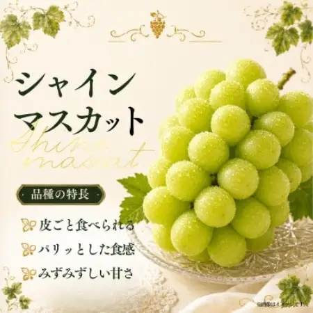 シャインマスカット 約2.8kg (4房)【2026年発送】茨城県産フルーツ 人気のぶどう【配送不可地域：離島・沖縄県】【1751121】