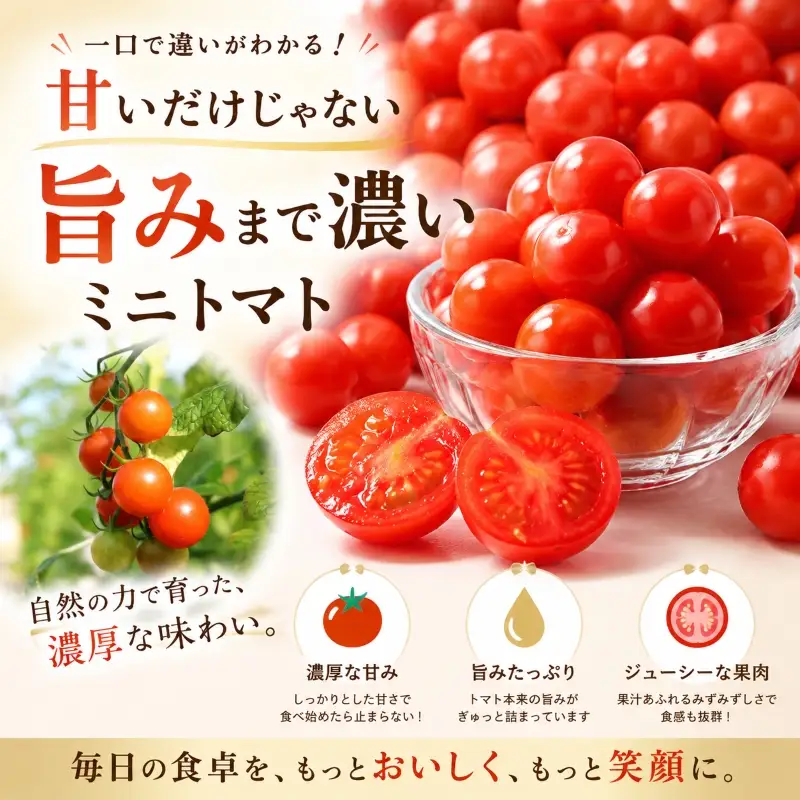 先行予約 ミニトマト 訳あり 3kg ミニトマト