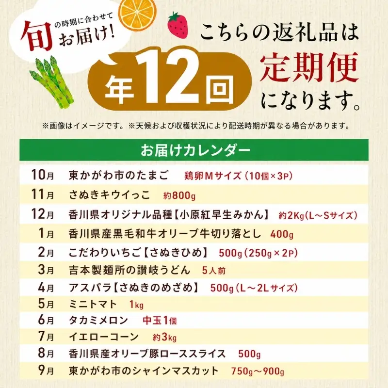 東かがわ市ちょこっと定期便(12回) 卵 キウイ 黒毛和牛 みかん いちご 讃岐うどん アスパラ トマト メロン コーン 豚肉 シャインマスカット 香川