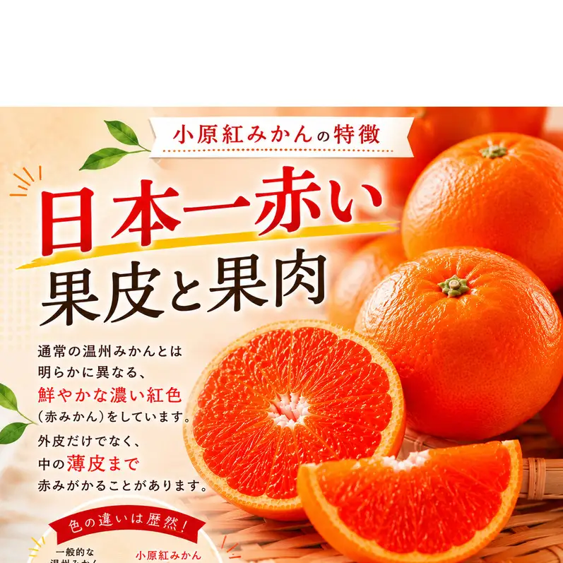 東かがわ市のちょこっと食卓応援品「小原紅みかん 2kg」