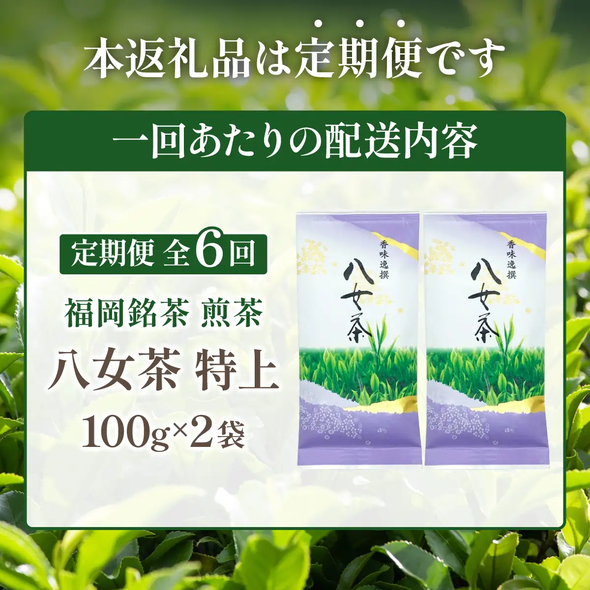  ＜定期便・全6回＞八女茶【特上】煎茶セット 100g×2袋