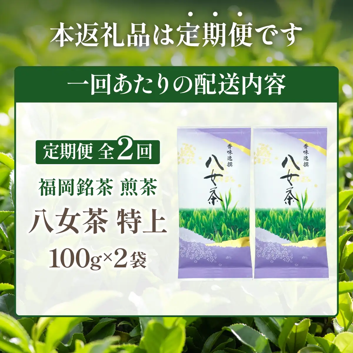  ＜定期便・全2回＞八女茶【特上】煎茶セット 100g×2袋