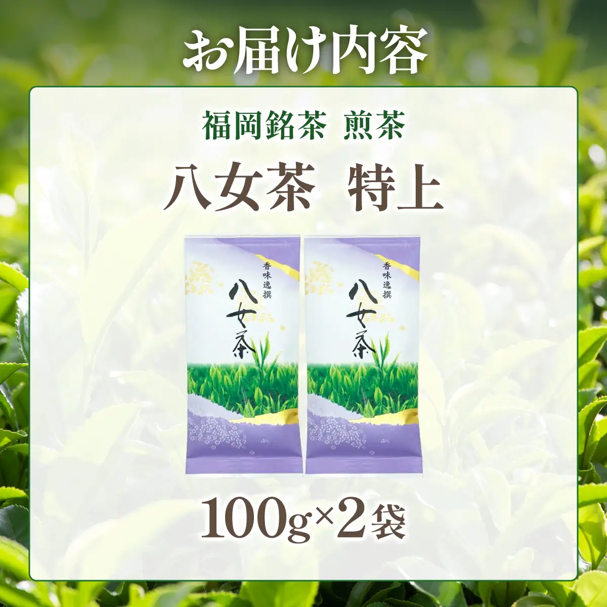  八女茶【特上】煎茶セット 100g×2袋