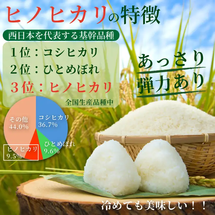 令和7年度産 佐賀県認定 「農薬：栽培期間中不使用」  ヒノヒカリ（5㎏）しもむら農園 佐賀  一等米 精米 白米 ブランド米 お米 白飯 人気 ランキング 高評価 お米 B180-025