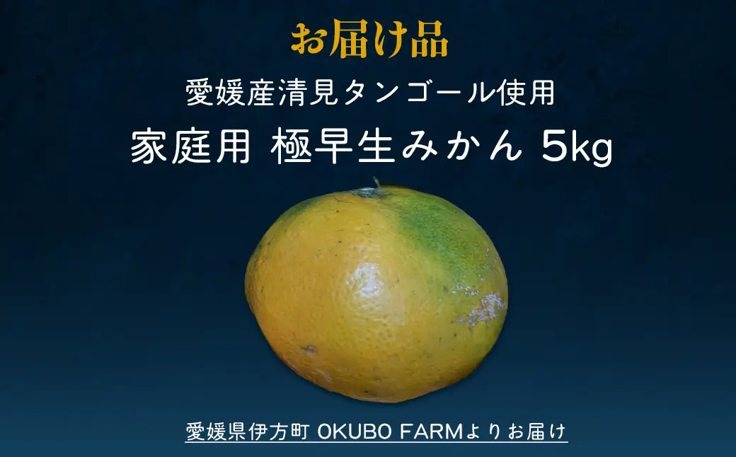 【先行予約】家庭用　極早生みかん５㎏ ※2026年10月上旬から順次発送予定   IKTAT015