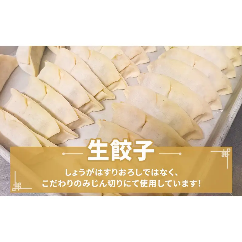 すえひろ餃子（しょうが餃子） 20個 タレ・唐辛子付き 餃子 浜松餃子 ギョーザ 冷凍餃子 具沢山 国産 ビールのお供 つまみ 静岡 浜松市