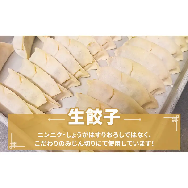 すえひろ餃子 （にんにく餃子） 40個 （20個 ×2パック） タレ・唐辛子付き 餃子 浜松餃子 ギョーザ 冷凍餃子 具沢山 国産 ビールのお供 つまみ 静岡 浜松市