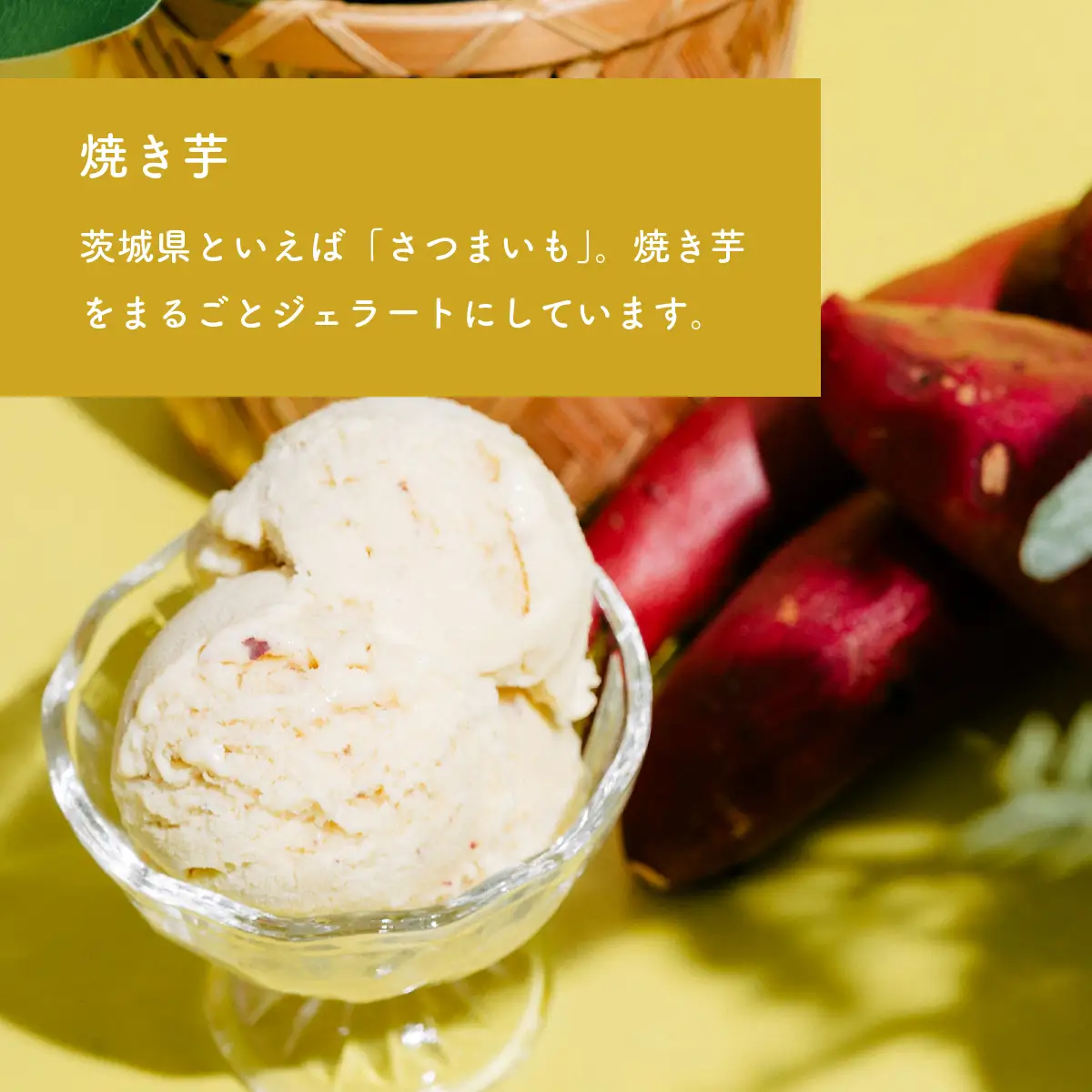 ジェラート 1L×2個 アイス 焼き芋 × 焼き芋 ジェラート