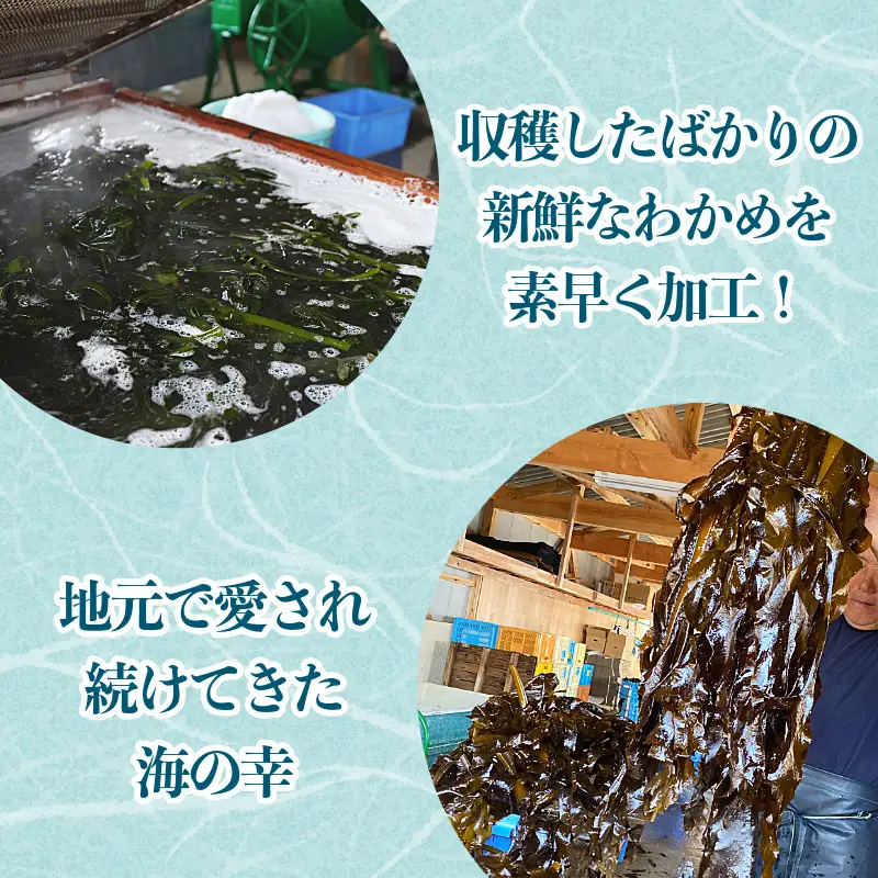 わかめ 500g 塩蔵わかめ 汐わかめ ワカメ 若芽 wakame 小分け 湯通しわかめ 海藻 海産物 味噌汁 ごはん 夕飯 おかず サラダ 徳島県 小松島市