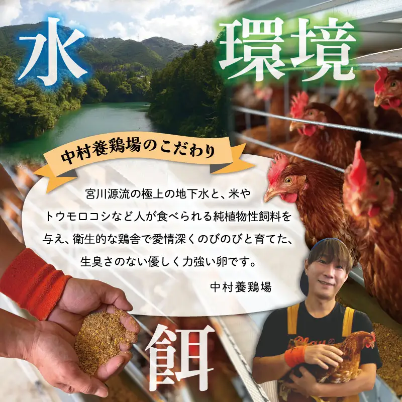 新鮮たまご 赤玉 Lサイズ 30個×3回 【定期便】中村養鶏場 ny5