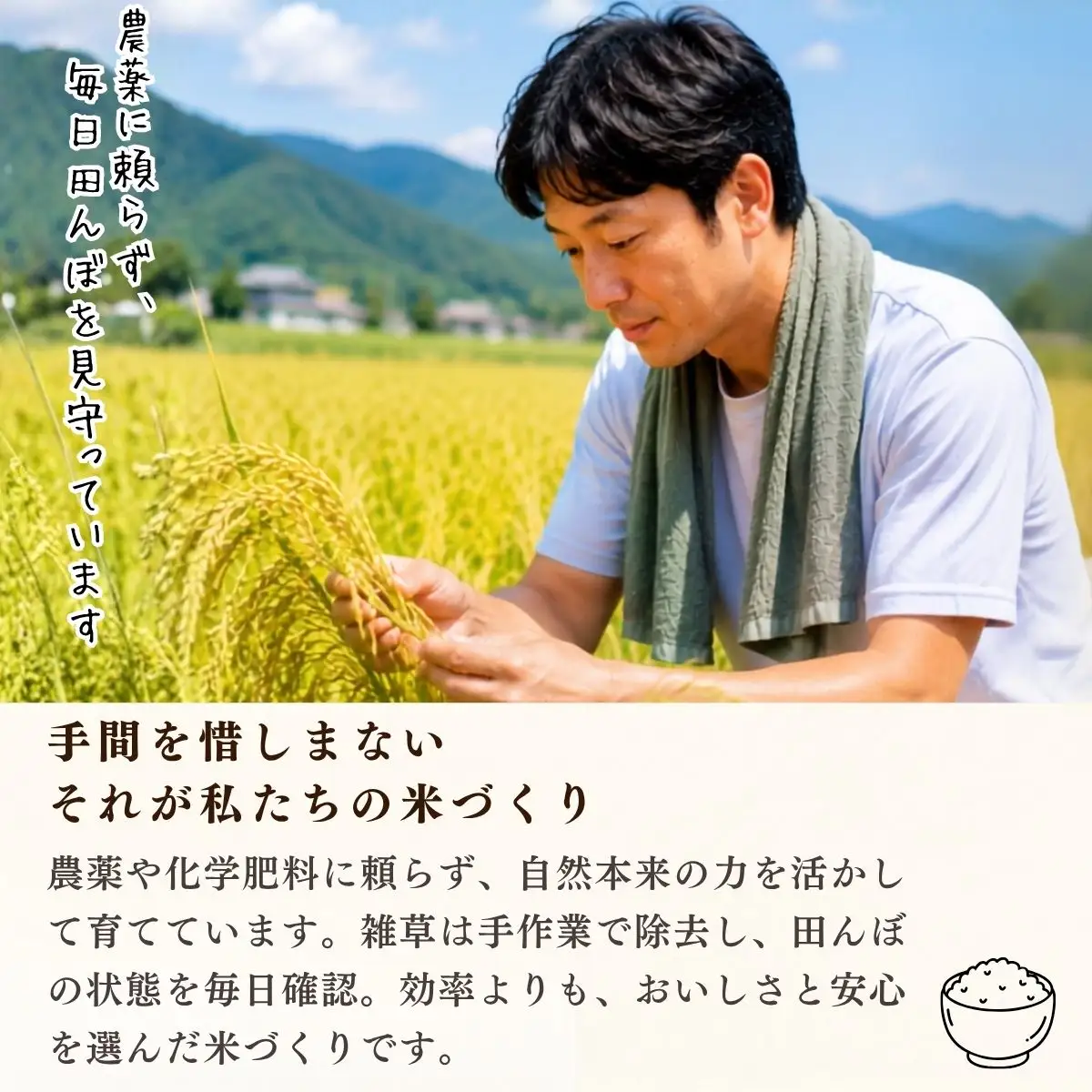 【先行予約】《 令和８年産 新米 》栽培期間中 農薬・化学肥料不使用 プレミアム米 こしひかり 玄米 5kg 瑞穂 豊米《 2026年10月上旬より出荷 》（Cl-018）