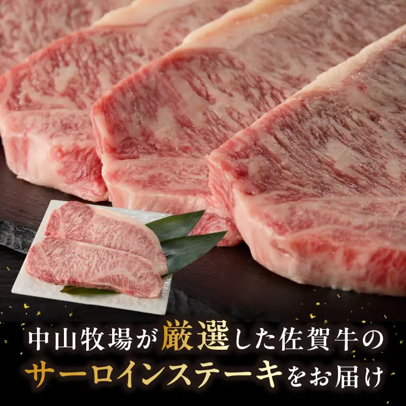 【最速配送】佐賀牛サーロインステーキ 500g ／ 焼肉 ステーキ 霜降り【C079】