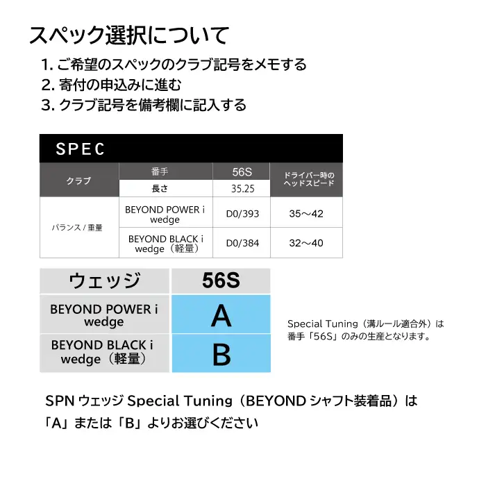 リョーマアイアンウェッジ 「RYOMA SPN Wedge Special Tuning」 単品 BEYONDシャフト リョーマ GOLF ゴルフクラブ