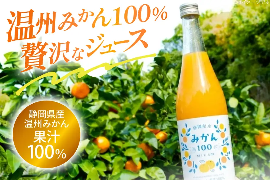 みかん100 ストレート 果汁100％ ジュース 720ml × 6本