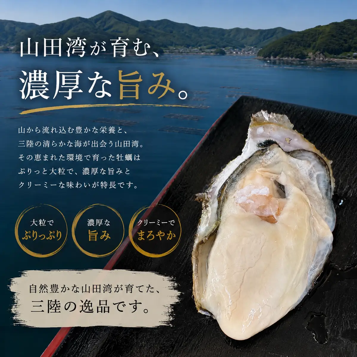＼ふるなび限定／ 牡蠣 生食用 むき身 900g 三陸山田産牡蠣