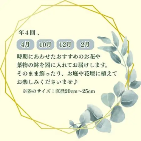 【発送月固定定期便】育てる楽しさも味わえる♪花精おすすめのお花とグリーンの寄せ鉢全4回【4088350】