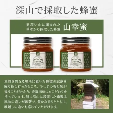 【数量限定】国産 生はちみつ 日本みつばち【非加熱・無添加の生蜂蜜】300g×2 B3-115【配送不可地域：離島】【1752142】