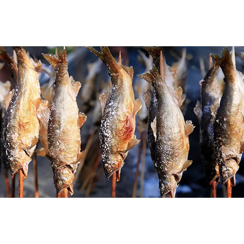 遊漁年券A2あゆ　竿釣（コロガケ、ルアー、餌、毛鉤釣りのみ）（但し魚沼漁業協同組合の範囲内に限ります）