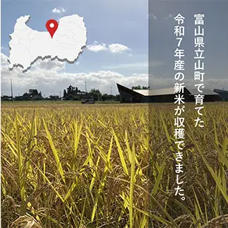 【令和7年産】玄米 ヘルジアンウッド米 30kg 富山県産コシヒカリ 玄米 国産 米 お米 日本米 ギフト 贈り物 食品 F6T-1022