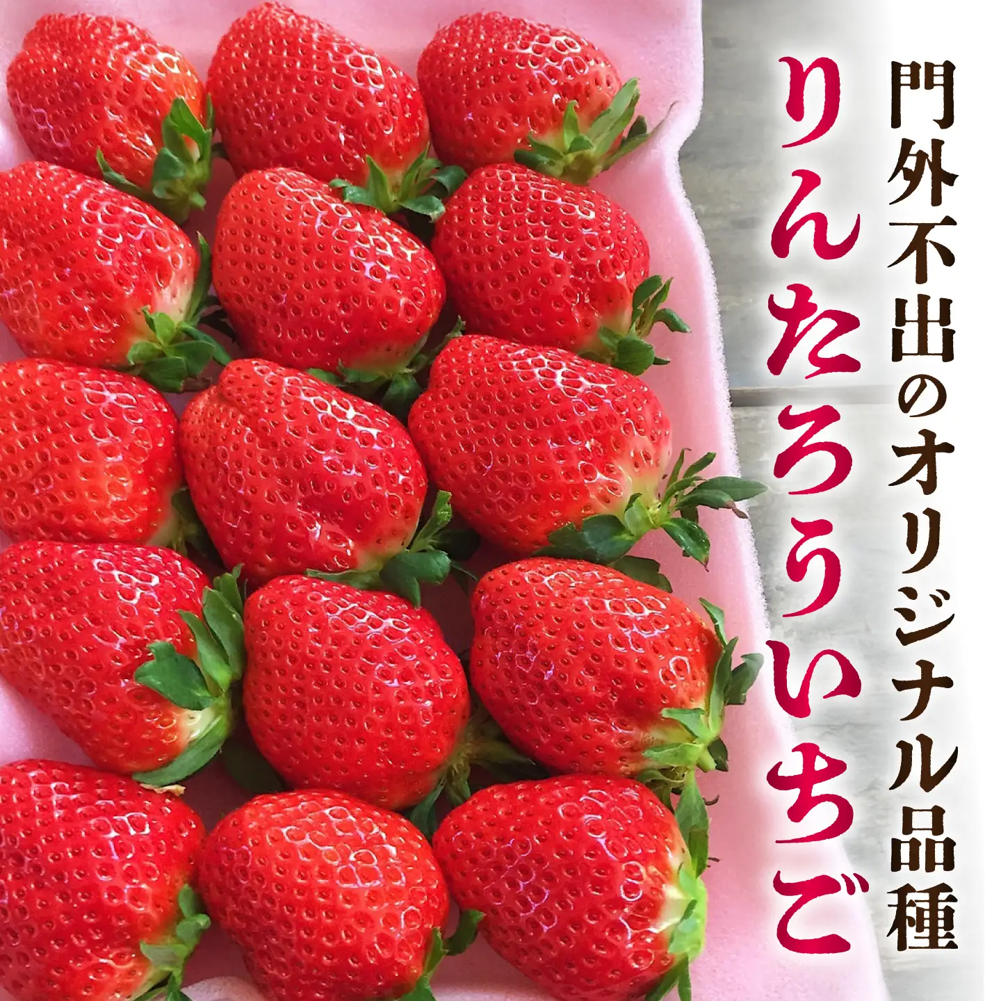 【先行予約】【2027年1月下旬発送開始】りんたろういちご 24個(500g程度) / 苺 ストロベリー フルーツ 果物 くだもの 青果【有限会社 高司農園】[AYDO002]