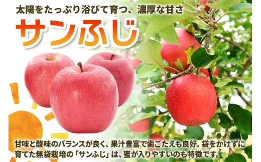 [訳あり] [定期便／12月中旬頃＆2月中旬頃の計2回発送]  りんご サンふじ 3kg (9玉から12玉入り／計2回・合計6kg)  見た目にわけあり 味はそのまま [1014]