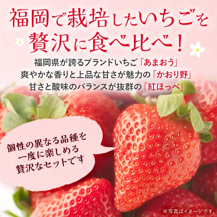 いちご   福岡いちご3種食べ比べセット あまおう かおり野 紅ほっぺ 【2027年2月より順次発送】 いちご  