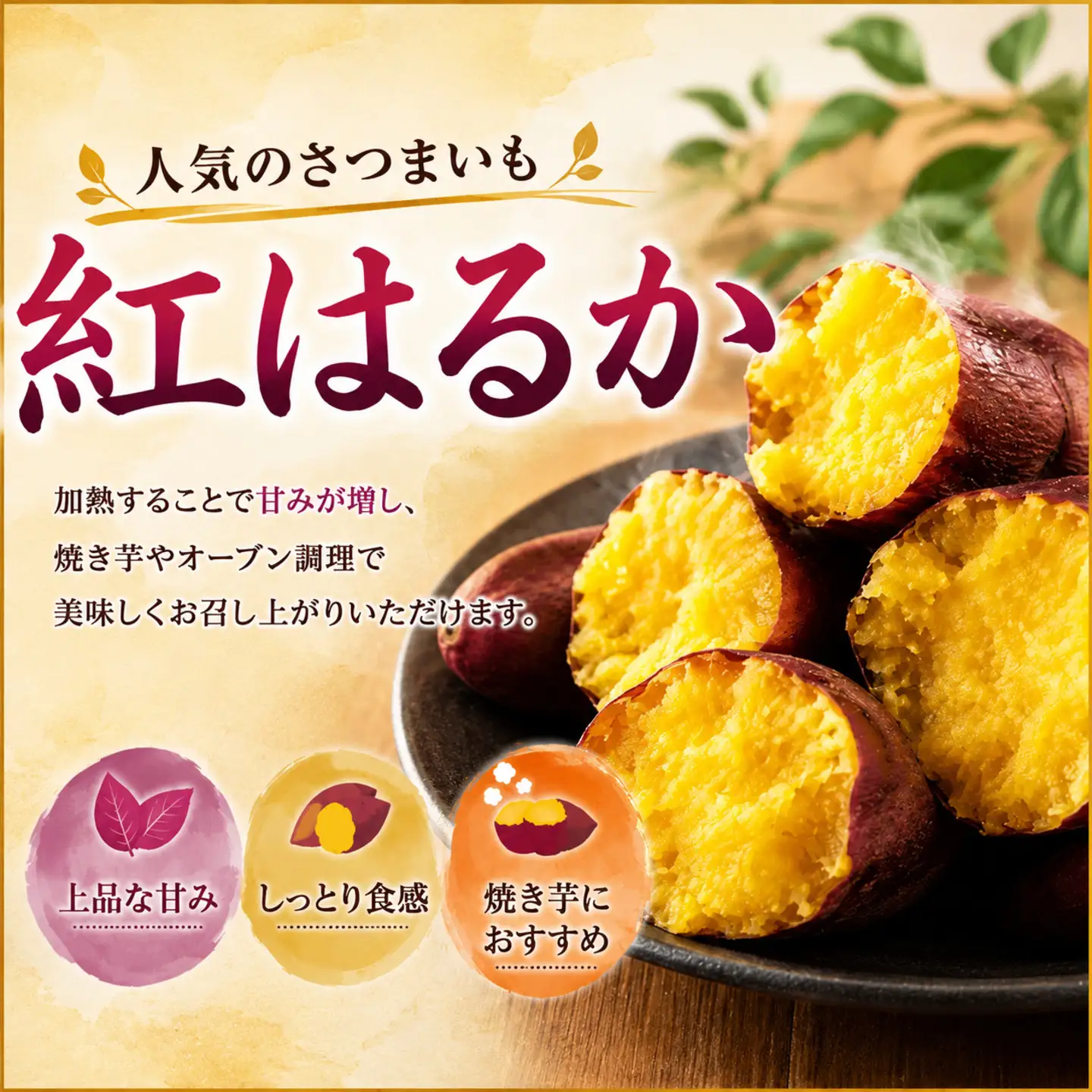 訳あり さつまいも 紅はるか 約5kg 【さつまいも】
