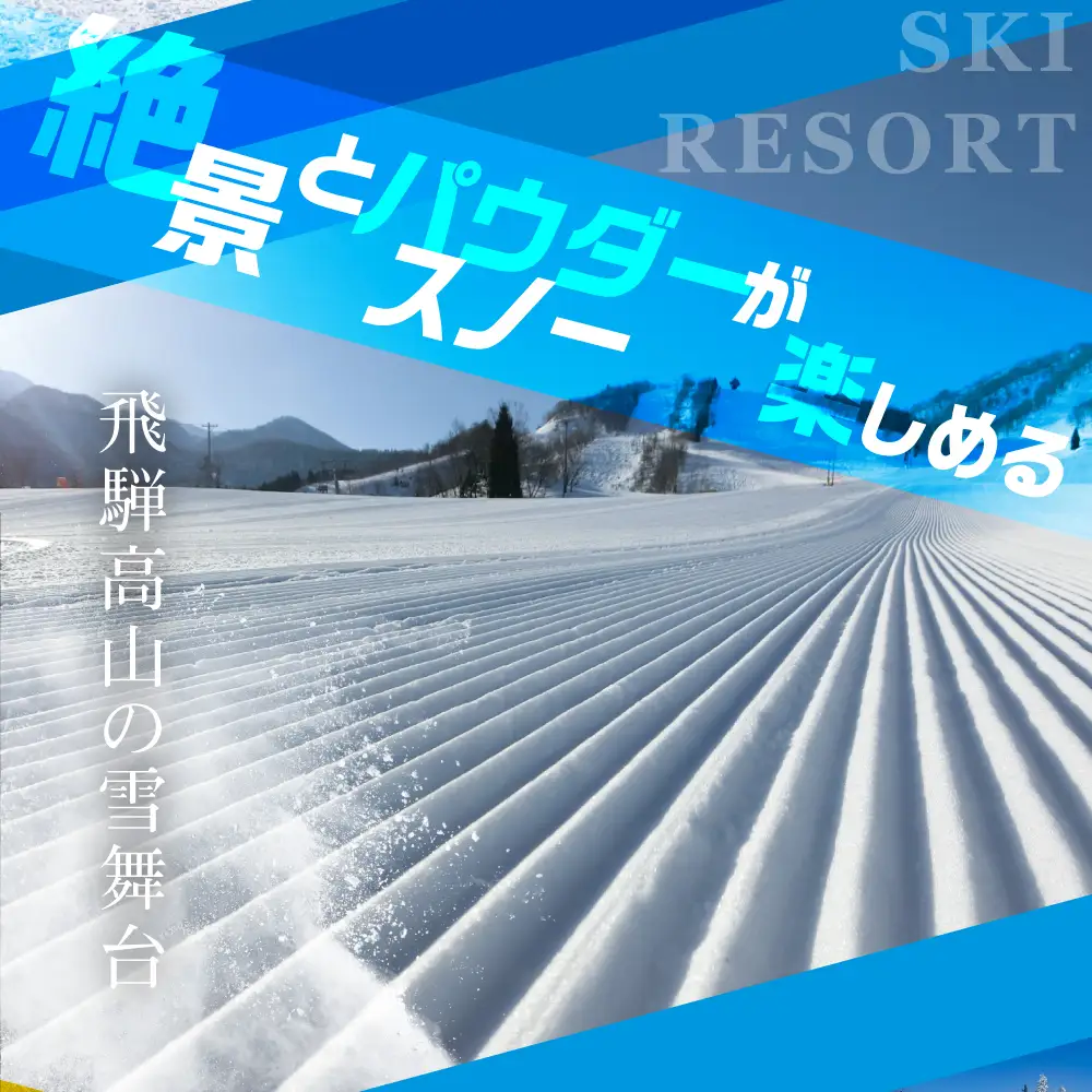 【2026年11月上旬より発送】飛騨ほおのき平スキー場 リフト券 大人1日券