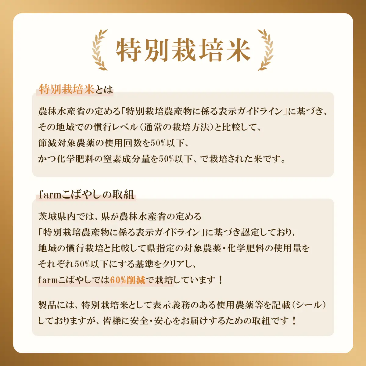 【ふるなび限定】米 白米 2kg R7年産 7月出荷 こしひかり 米 FN-Limited-PR