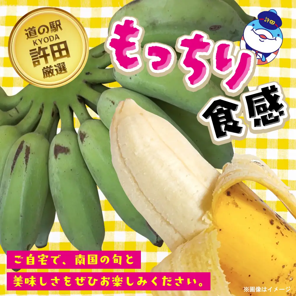 道の駅「許田」が厳選した南国フルーツ アップルバナナ 約2kg 2027年発送 バナナ 2kg やんばる 南国フルーツ トロピカル 国産 グルメ 濃厚 もっちり 完熟 新鮮 産地直送 お取り寄せ 道の駅 許田 特産品 旬のフルーツ 朝食 ギフト