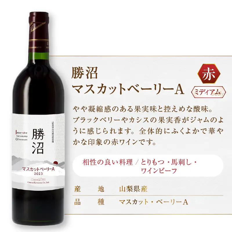 ワイン シャトー勝沼が贈るおすすめ赤ワイン3本セット（MG）C5-684