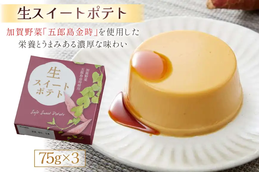 加賀・能登の素材薫るスイーツ9個入