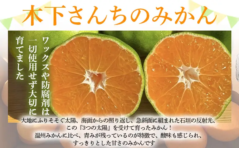 ＜木下さんちの極早生みかん 良品 約3kg（2S～Lサイズ混合）＞『2026年10月に順次出荷予定』柑橘類 ごくわせ 早生ミカン 蜜柑 果物 くだもの フルーツ 甘酸っぱい あまずっぱい 国産 キロ 特産品 木下農園 西宇和 愛媛県 西予市【常温】MKS0016