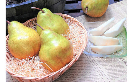 令和8年産 洋梨 「追熟 シルバーベル 」 秀品 3kg（ 6 - 10玉 ） L - 4L サイズおまかせ 山形県産【2026年12月頃から2027年1月頃発送予定】　012-B-MM031