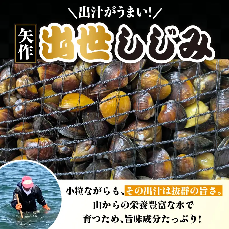 矢作　出世しじみ（レトルトパック130g×10P）・M145-145