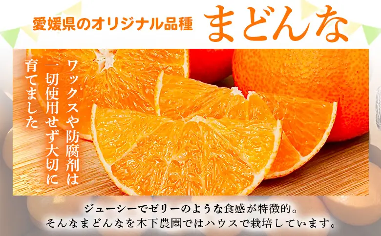 紅まどんなと同品種！＜木下さんちのまどんな 訳あり 約5kg＞『2026年12月に順次出荷』愛媛果試第28号 柑橘類 みかん ミカン 果物 くだもの フルーツ 不揃い 自宅用 愛媛果試第28号 特産品 産地直送 マドンナ 木下農園 西宇和 愛媛県 西予市【常温】MKS0022