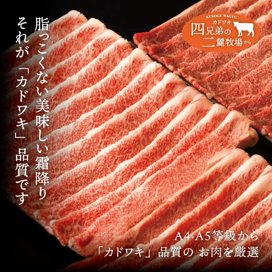 A4･A5「二麓（にろく）霜降り」黒毛和牛（大判）切り落とし 500g（250g×2）ニセコ連峰と鈴鹿山脈、二つの麓（ふもと）で育てた脂の質にこだわった美味しい霜降りをリーズナブルに│牛肉 国産牛 ブランド牛 冷凍便 年末年始 お正月 焼肉 しゃぶしゃぶ すき焼き 三重県 四日市市 ふるさと納税