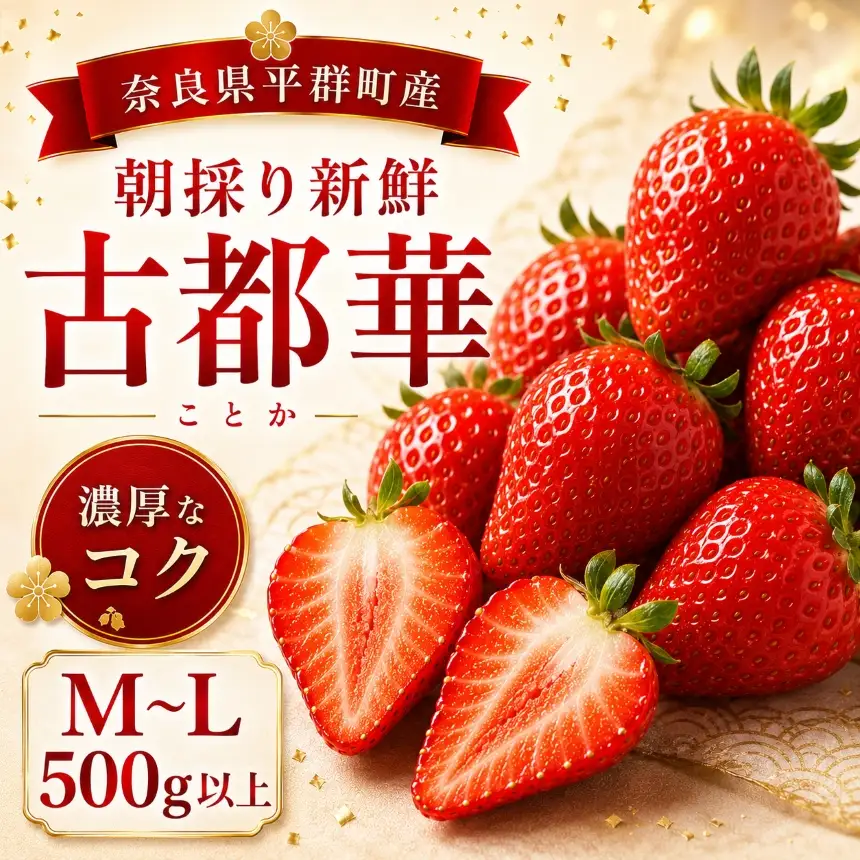 AO01 朝採りの新鮮な古都華M～L500ｇ以上 いちごいちえ | 果物 くだもの フルーツ 苺 イチゴ いちご ストロベリー 古都華 ことか 希少 濃厚コク 芳醇 果肉 しっとり 旬の品種 奈良県 平群町