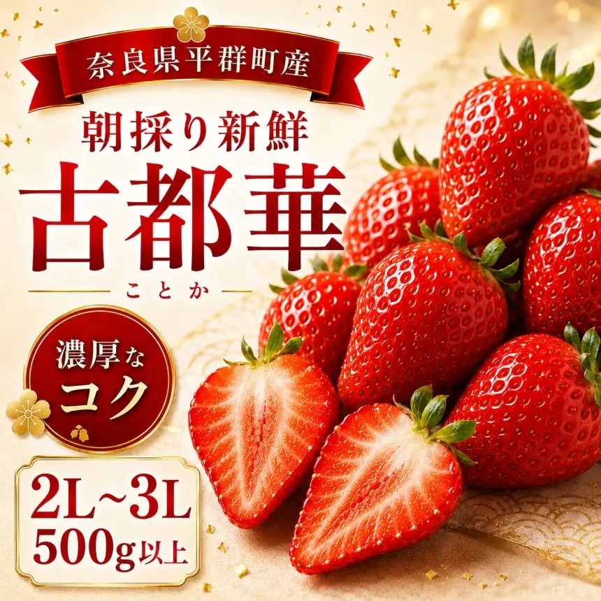 AO02 朝採りの新鮮な古都華２L～３L500ｇ以上 いちごいちえ | 果物 くだもの フルーツ 苺 イチゴ いちご ストロベリー 古都華 ことか 希少 濃厚コク 芳醇 果肉 しっとり 旬の品種 奈良県 平群町
