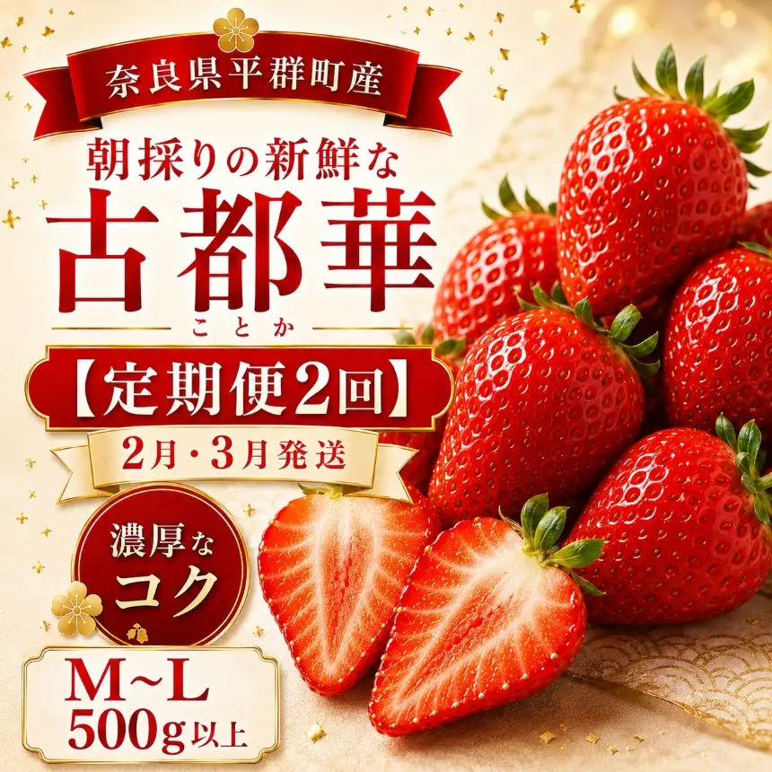 AO05 【定期便２回】２月・３月発送・朝採りの新鮮な古都華M～L 500ｇ以上 いちごいちえ | 果物 くだもの フルーツ 苺 イチゴ いちご ストロベリー 古都華 ことか 希少 濃厚コク 芳醇 果肉 しっとり 旬の品種 奈良県 平群町