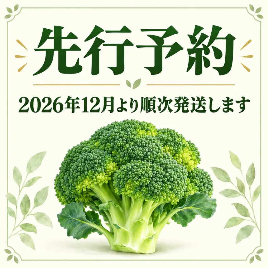 2026年12月より発送！こだわりブロッコリー　栽培期間中化学肥料/農薬不使用　2kg以上(5-8本)│農園ベジーネ