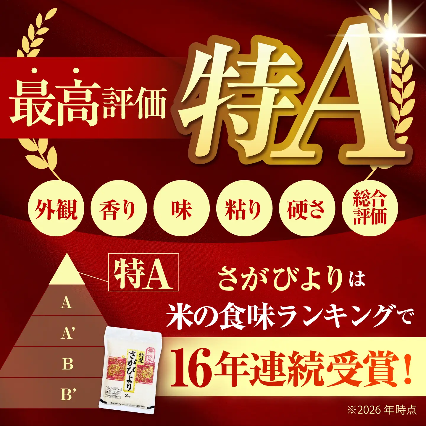 【全3回定期便】 さがびより 無洗米 2kg×2袋（真空パック）【五つ星お米マイスター厳選】特A米 特A評価[HBL131]