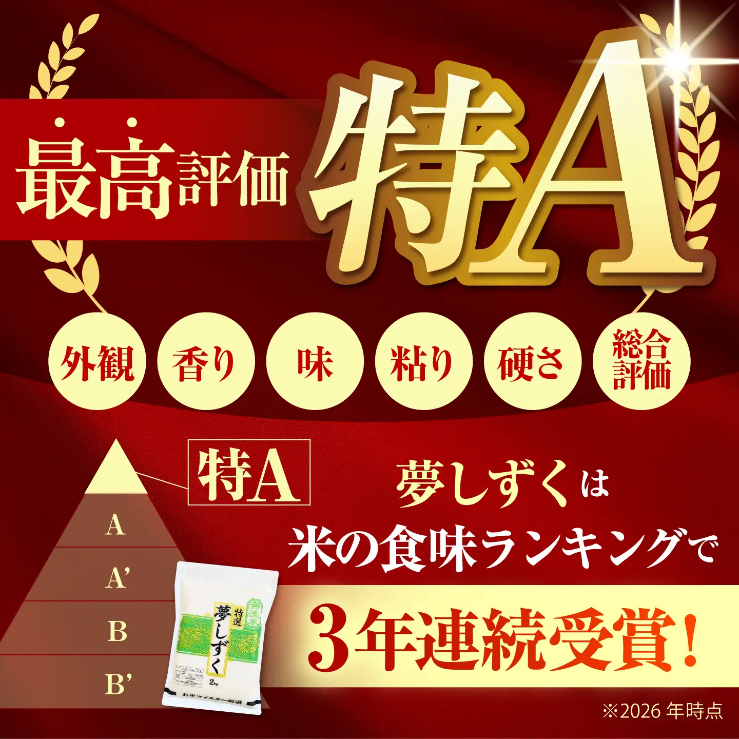 【全6回定期便】 夢しずく 無洗米 2kg×2袋（真空パック）【五つ星お米マイスター厳選】 米 佐賀[HBL144]