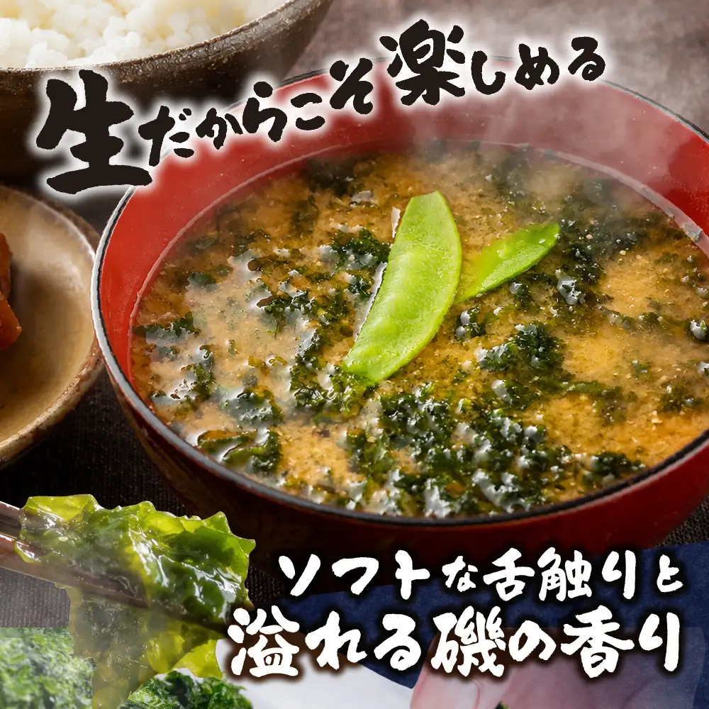 朝採り！冷凍 生あおさ のり 400g のり