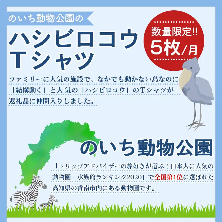 ハシビロコウTシャツ【動物Tシャツ ハシビロコウ 動物園 のいち動物園 ハシビロコウ】 ni-0004