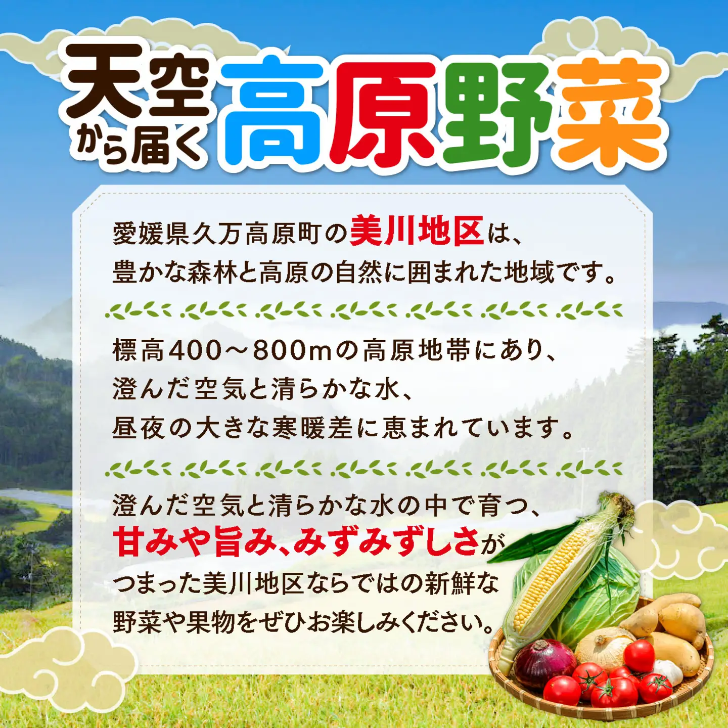 【定期便3回】久万高原 天空の旬野菜便2kg【道の駅みかわ厳選】 | 野菜詰め合わせ 5～6品目 新鮮野菜 定期便 愛媛県産 産地直送