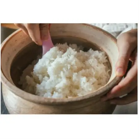 【毎月定期便】有機米コシヒカリ白米「棚田tanada」有機JAS認証米　3kgサイズ全3回【4088273】